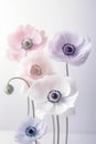 Delicate Pink and purple Anemone Flowers. Generative AI