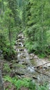 Whispering Waters: A Serene Mountain Stream