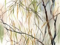 Whispering Willow Branches in Watercolor Royalty Free Stock Photo
