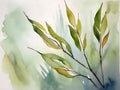 Whispering Willow Leaves in Watercolor Royalty Free Stock Photo