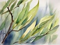 Whispering Willow Leaves in Watercolor Royalty Free Stock Photo