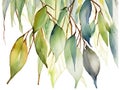 Whispering Willow Leaves in Watercolor Royalty Free Stock Photo