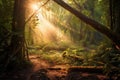 Whispering Woods: serene panorama of a mystical forest with sun rays filtering through the canopy, creating a play of light