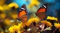 Whispers of the Butterflies: Nature\'s Fragile Beauty\