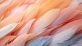 Whispers of Elegance: Delicate Orange and Pink Feathers in Soft Harmony - Generative AI