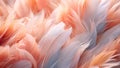 Whispers of Elegance: Delicate Orange and Pink Feathers in Soft Harmony - Generative AI