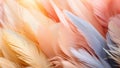 Whispers of Elegance: Delicate Orange and Pink Feathers in Soft Harmony - Generative AI