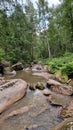 Whispers of the Forest Stream Royalty Free Stock Photo