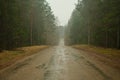 Whispers in the Mist: Navigating the Foggy Forest Road Royalty Free Stock Photo