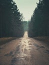 Whispers in the Mist: Navigating the Foggy Forest Road Royalty Free Stock Photo