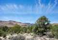 Whispy Clouds over Pinyon Juniper Woods Royalty Free Stock Photo