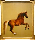 Whistlejacket by George Stubbs