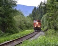 Train Tracks at Rainbow Park in Whistler, British Columbia, Canada