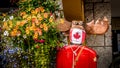 Wooden Statue of a Moose in a Mountie Uniform with a Canadian Maple Leaf Face Mask Royalty Free Stock Photo