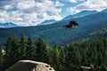 Whistler Slopestyle Mountain biking Royalty Free Stock Photo