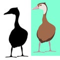 Whistling duck vector illustration flat style silhouette Royalty Free Stock Photo