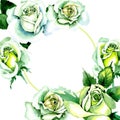 Whit roses. Floral botanical flower. Wild spring leaf wildflower frame.