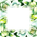 Whit roses. Floral botanical flower. Wild spring leaf wildflower frame.