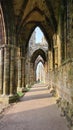 Whitby Abbey Arches Royalty Free Stock Photo