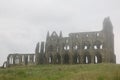Whitby Abbey castle Royalty Free Stock Photo