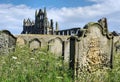 Whitby Abbey from the Graves Royalty Free Stock Photo