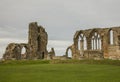 Whitby, the Abby - a view of the ruins and the meadows.