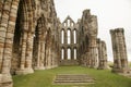 Whitby Abby, Yorkshire - the remains and the green meadows.