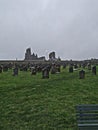 Whitby - the cemetery and the abbey Royalty Free Stock Photo