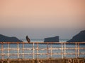 Whitby seascape in Yorkshire England UK Royalty Free Stock Photo