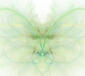 White abstract background with rainbow - green, turquoise, orange - butterfly texture, fractal pattern Royalty Free Stock Photo