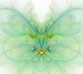 White abstract background with rainbow - green, turquoise, yellow - butterfly texture, fractal pattern Royalty Free Stock Photo