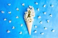 White acacia flowers and petals in a waffle cone Royalty Free Stock Photo