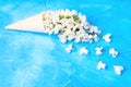 White acacia flowers in a waffle cone on blue Royalty Free Stock Photo