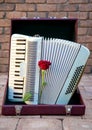 White accordion and a red rose on it in a case, musical instrument