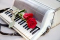 White accordion and two red roses on it, musical instrument Royalty Free Stock Photo