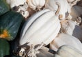 White acorn squash vegetable food Royalty Free Stock Photo