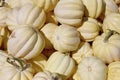 White Acorn Squash  823940 Royalty Free Stock Photo