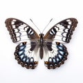 White Admiral Butterfly: A Stunning Artistic Interpretation In Nadav Kander\'s Style