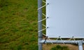 White advertising tarpaulin installed by a cable into the metal galvanized frame and shackled holes. Flexible advertising solution