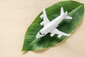 White airplane on fresh green leaves. Net zero carbon freighter flights concept. Sustainable Aviation Fuel Royalty Free Stock Photo