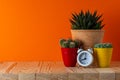 White alarm clock with a cactus flowers on wooden desk. Minimal time concept Royalty Free Stock Photo