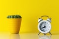 White alarm clock with cactus in pot on wooden desk. Minimal time concept Royalty Free Stock Photo