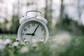 White alarm clock in grass with daisy flowers