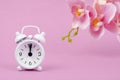 The White alarm clock and pink streaked orchid flower on sweet background Royalty Free Stock Photo