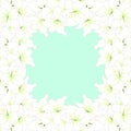 White Amaryllis Border - Hippeastrum. Christmas Flower. Vector Illustration. isolated on Green Mint Background