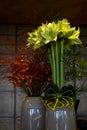 White amaryllis, bunch of creme-white amaryllis and bunch of red berries and grass in vases