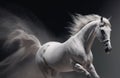 White andalusian horse with long mane run in dust against dark background Royalty Free Stock Photo