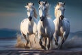 White Andalusian horses horse Royalty Free Stock Photo