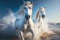 White Andalusian horses running beach