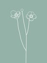 White Anemone Flower Line Design